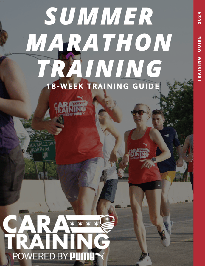 CARA-training-guide-cover